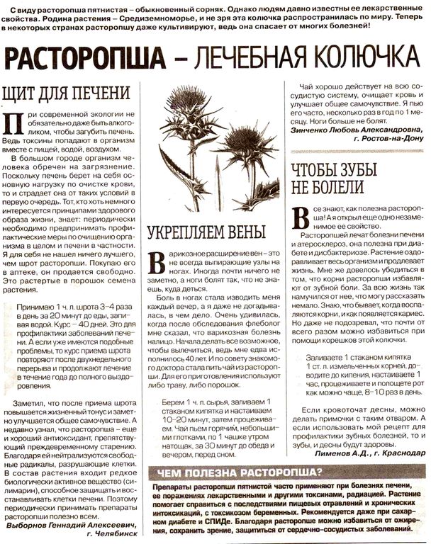Расторопша семена 100 гр. в Барнауле