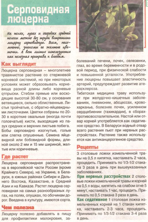 Люцерна трава 250 гр. в Барнауле