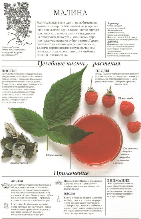 Малина лист 250 гр. в Барнауле