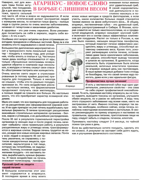 Агарик гриб 100 гр. в Барнауле