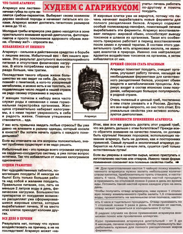 Агарик гриб 100 гр. в Барнауле