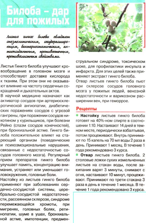 Гинкго билоба, лист 50г в Барнауле