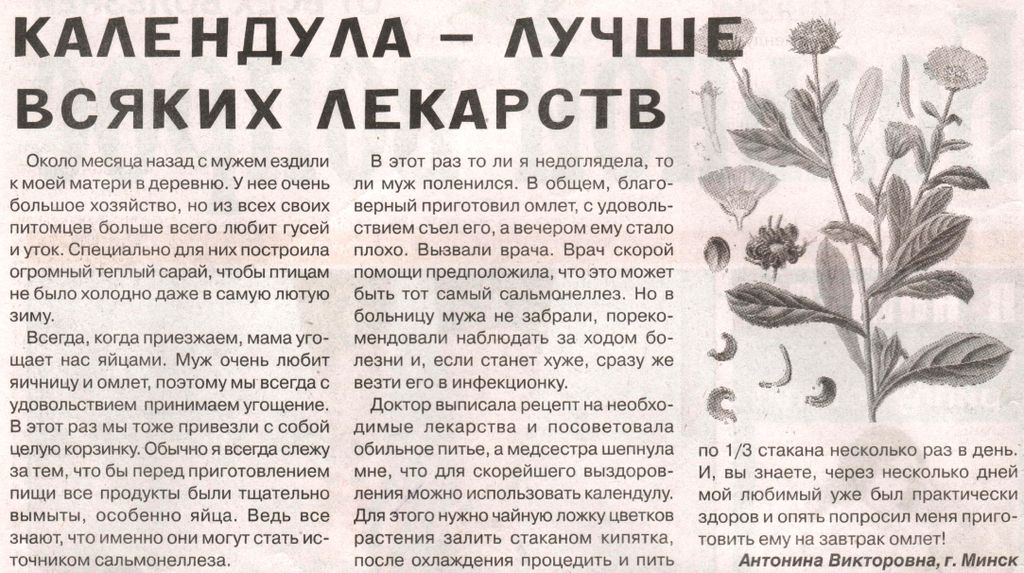 Календула цветы 100 гр. в Барнауле