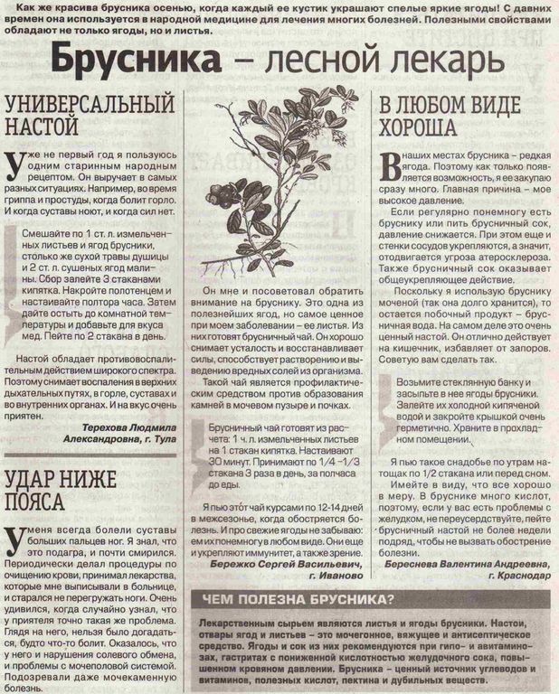 Брусника лист 100 гр. в Барнауле