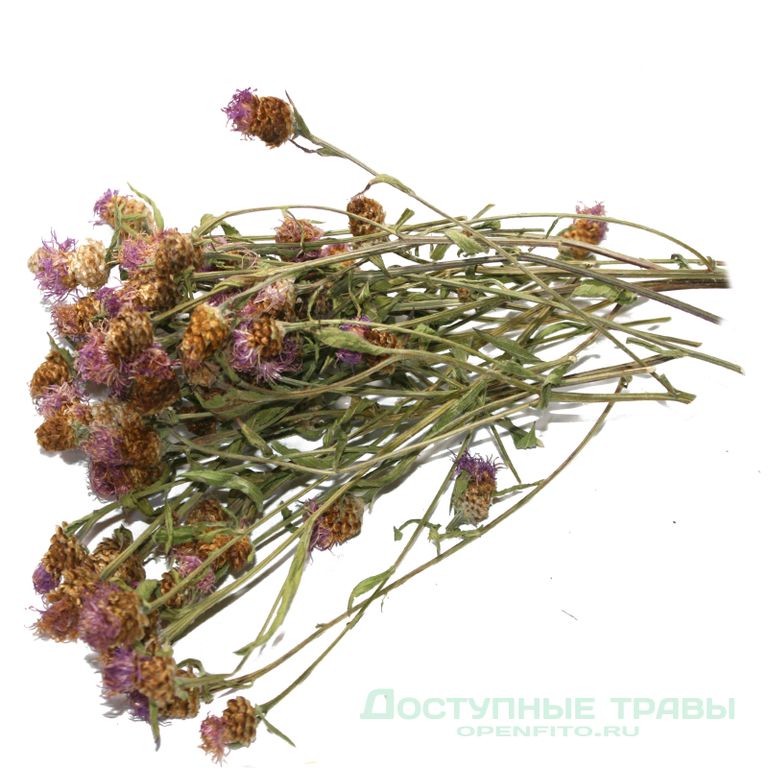 Василек цветки 100 гр. в Барнауле