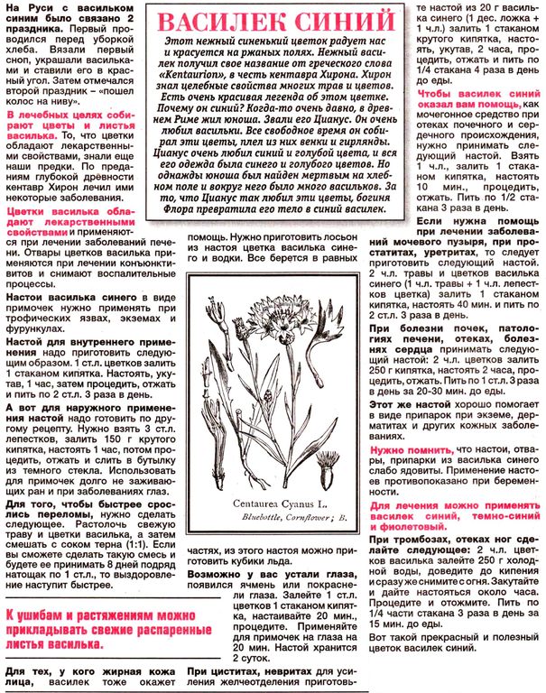 Василек цветки 100 гр. в Барнауле