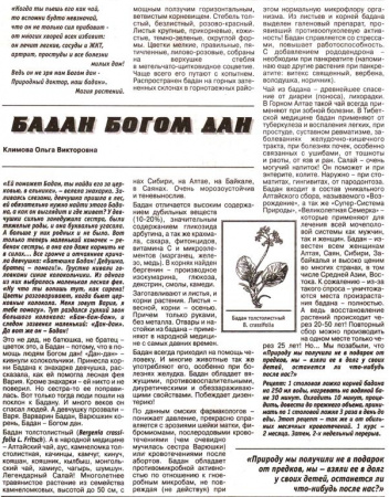 Бадан лист 100 гр. в Барнауле