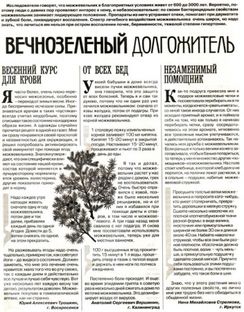 Можжевельник плод 100 гр. в Барнауле