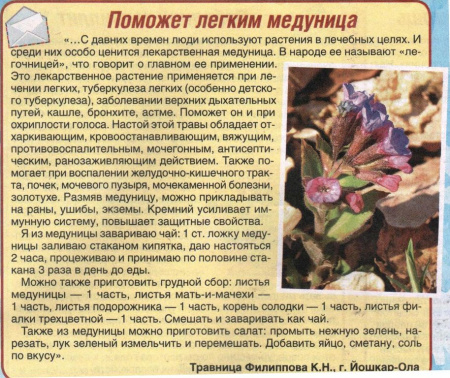Медуница трава 100 гр. в Барнауле