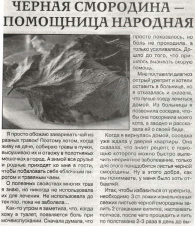 Смородина лист 200 гр. в Барнауле