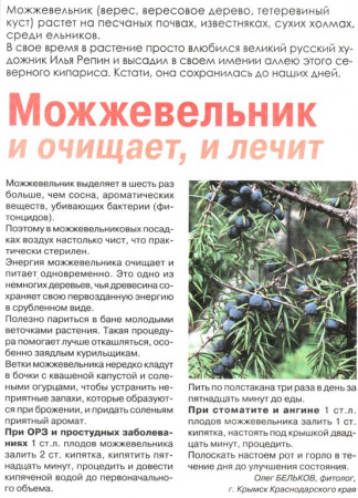 Можжевельник плод 100 гр. в Барнауле
