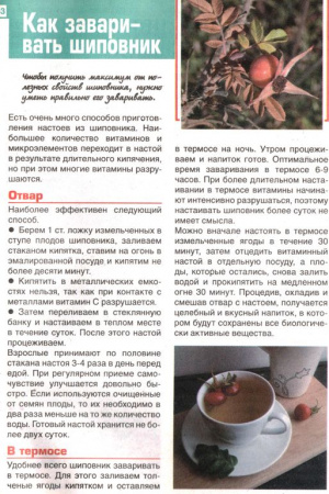 Шиповник плоды 100 гр. в Барнауле