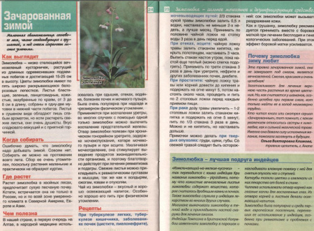 Зимолюбка трава 200 гр. в Барнауле